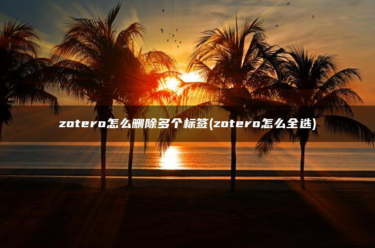 zotero怎么删除多个标签(zotero怎么全选)