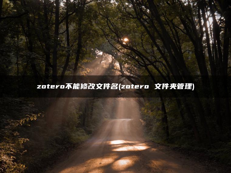 zotero不能修改文件名(zotero 文件夹管理)