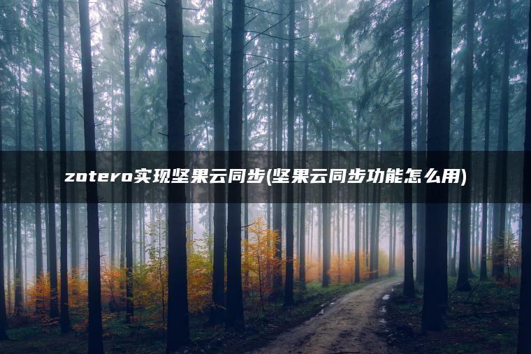 zotero实现坚果云同步(坚果云同步功能怎么用)