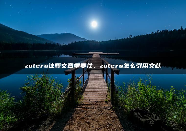 zotero注释文章重要性，zotero怎么引用文献