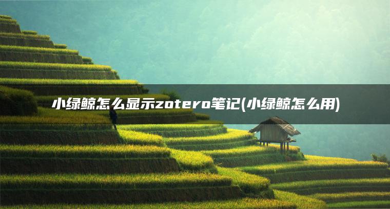 小绿鲸怎么显示zotero笔记(小绿鲸怎么用)