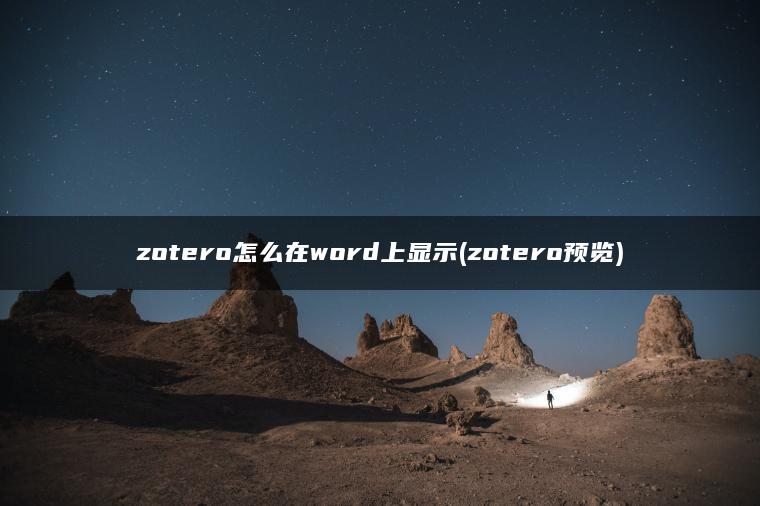 zotero怎么在word上显示(zotero预览)