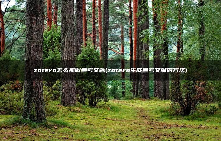 zotero怎么抓取参考文献(zotero生成参考文献的方法)