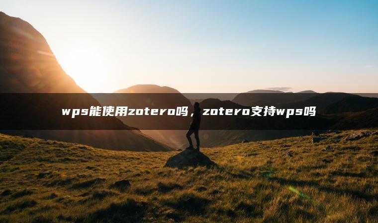 wps能使用zotero吗，zotero支持wps吗