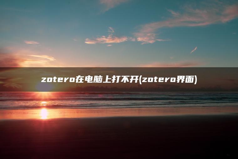 zotero在电脑上打不开(zotero界面)