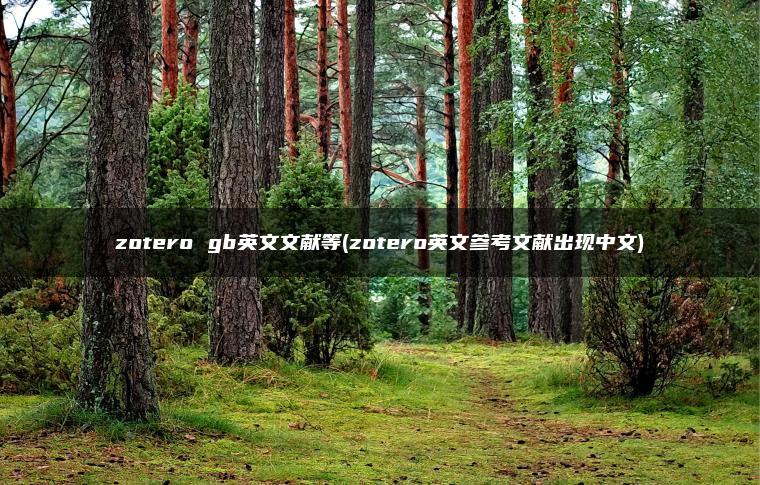 zotero gb英文文献等(zotero英文参考文献出现中文)