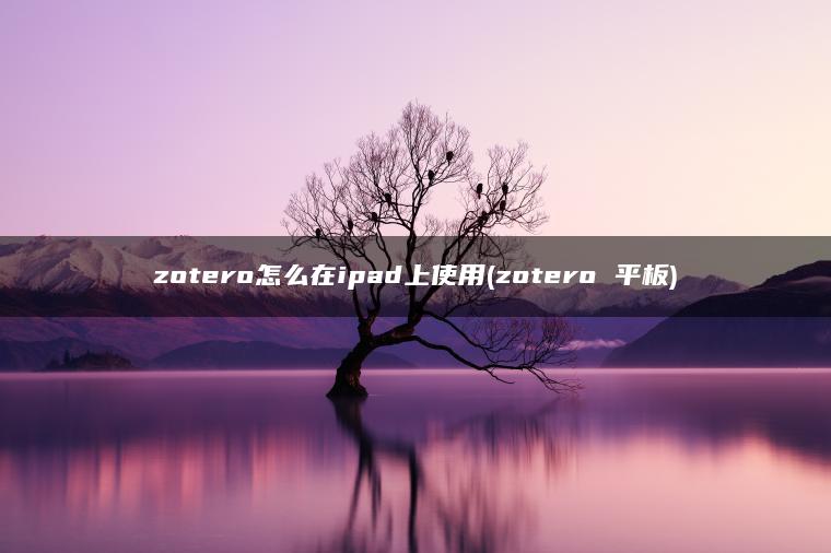 zotero怎么在ipad上使用(zotero 平板)