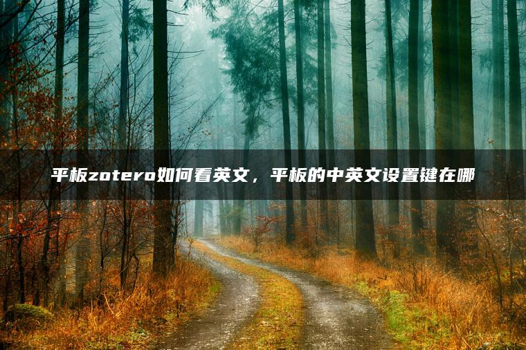 平板zotero如何看英文，平板的中英文设置键在哪