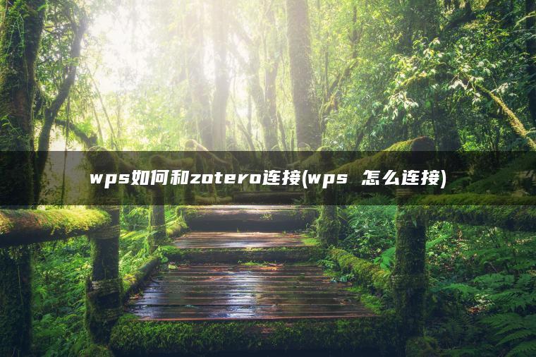 wps如何和zotero连接(wps 怎么连接)