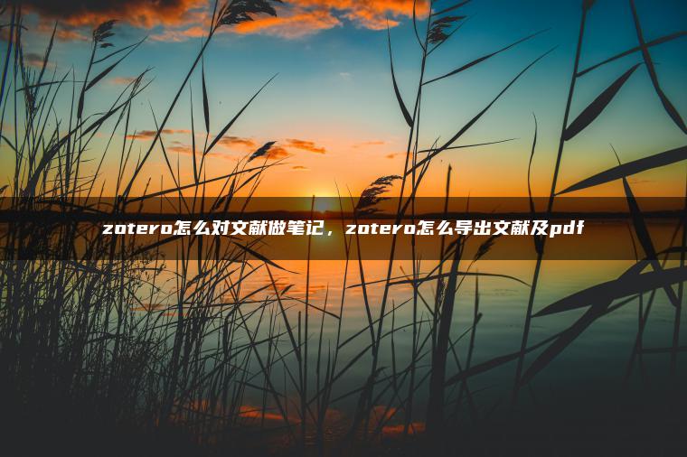 zotero怎么对文献做笔记，zotero怎么导出文献及pdf