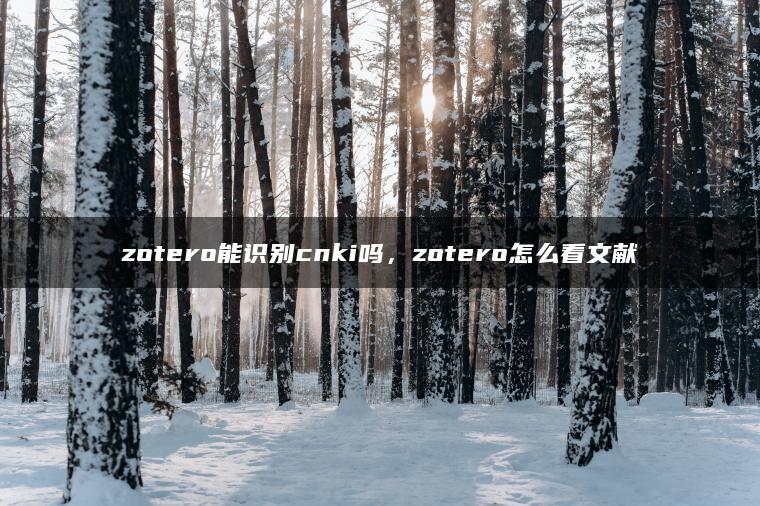 zotero能识别cnki吗，zotero怎么看文献