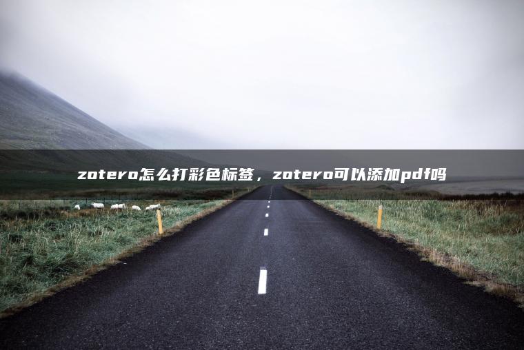 zotero怎么打彩色标签，zotero可以添加pdf吗