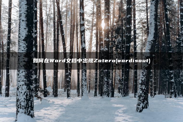 如何在Word文档中出现Zotero(wordisout)