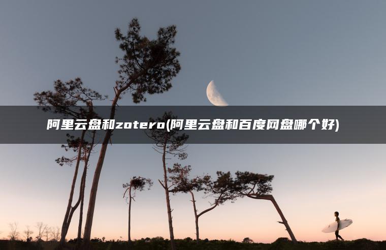 阿里云盘和zotero(阿里云盘和百度网盘哪个好)