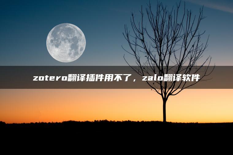 zotero翻译插件用不了，zalo翻译软件