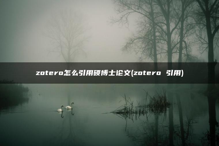 zotero怎么引用硕博士论文(zotero 引用)