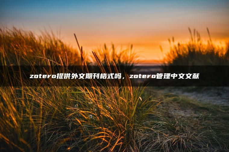 zotero提供外文期刊格式吗，zotero管理中文文献