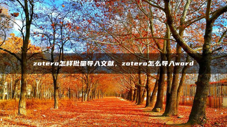 zotero怎样批量导入文献，zotero怎么导入word