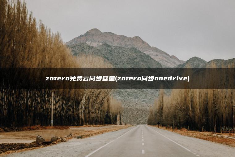 zotero免费云同步容量(zotero同步onedrive)