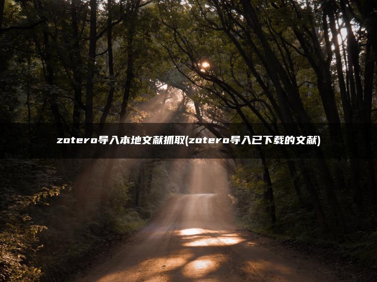 zotero导入本地文献抓取(zotero导入已下载的文献)