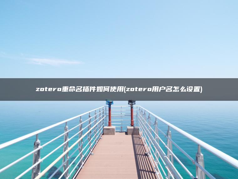 zotero重命名插件如何使用(zotero用户名怎么设置)