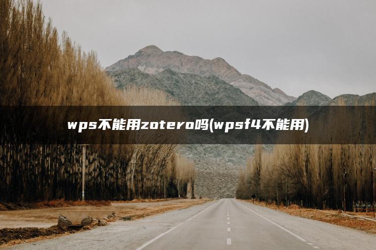 wps不能用zotero吗(wpsf4不能用)