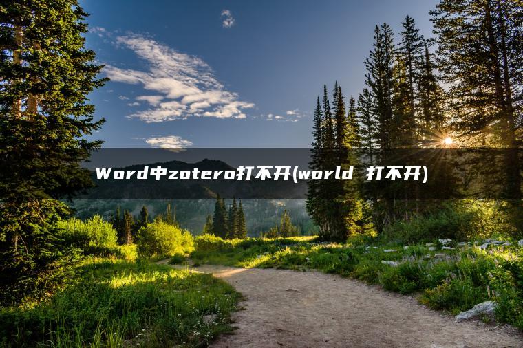 Word中zotero打不开(world 打不开)