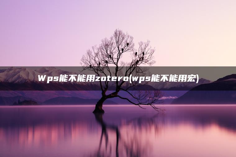 Wps能不能用zotero(wps能不能用宏)