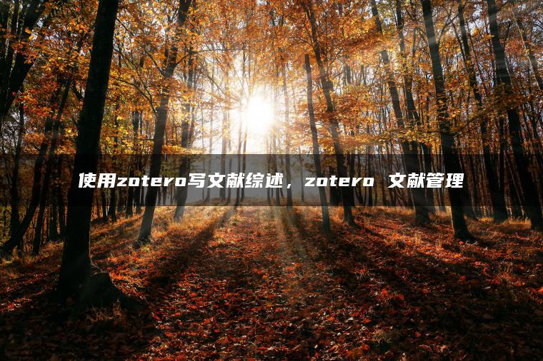 使用zotero写文献综述，zotero 文献管理