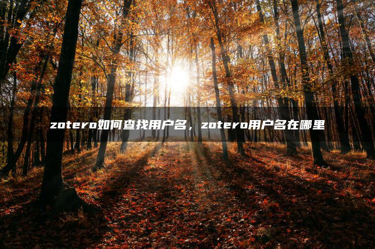 zotero如何查找用户名，zotero用户名在哪里