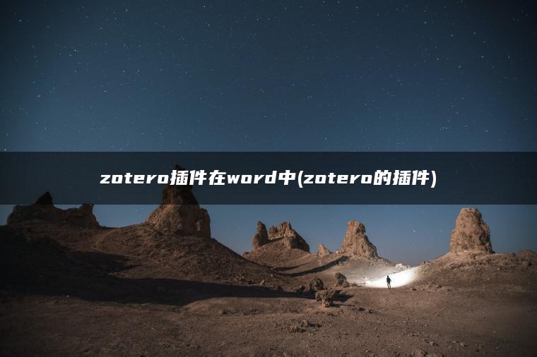 zotero插件在word中(zotero的插件)