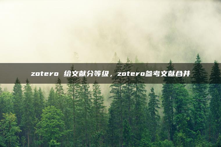 zotero 给文献分等级，zotero参考文献合并