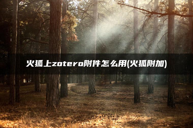 火狐上zotero附件怎么用(火狐附加)