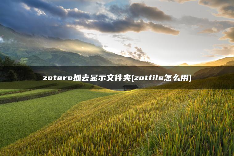 zotero抓去显示文件夹(zotfile怎么用)