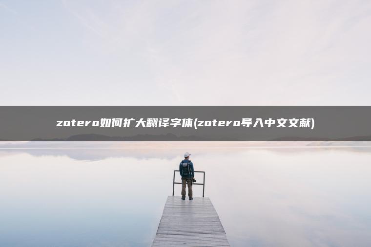 zotero如何扩大翻译字体(zotero导入中文文献)