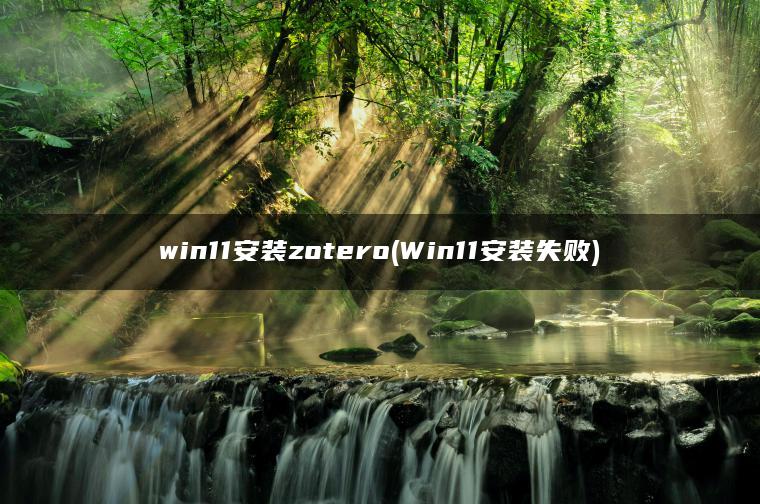 win11安装zotero(Win11安装失败)