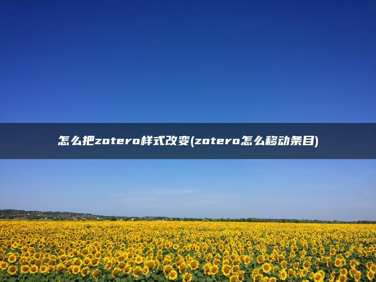 怎么把zotero样式改变(zotero怎么移动条目)