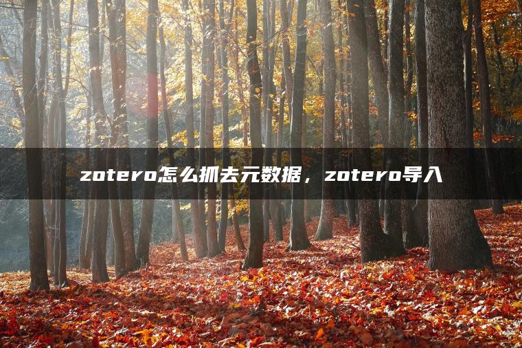 zotero怎么抓去元数据，zotero导入