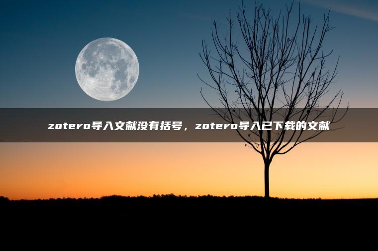 zotero导入文献没有括号，zotero导入已下载的文献