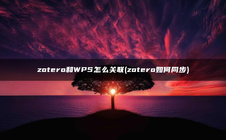 zotero和WPS怎么关联(zotero如何同步)