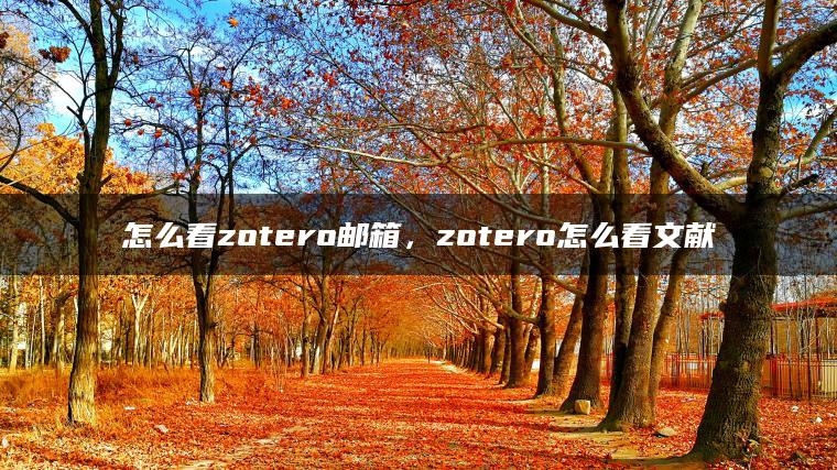 怎么看zotero邮箱，zotero怎么看文献