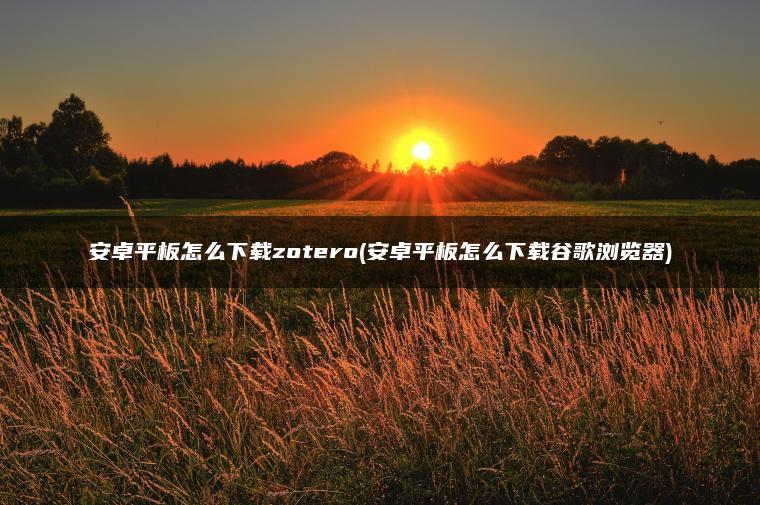 安卓平板怎么下载zotero(安卓平板怎么下载谷歌浏览器)