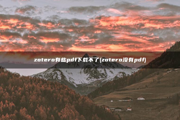 zotero有些pdf下载不了(zotero没有pdf)