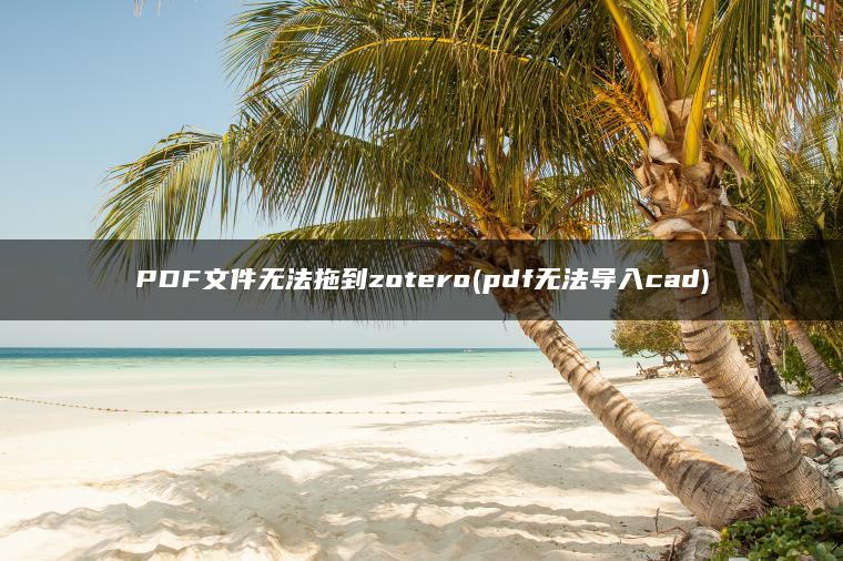 PDF文件无法拖到zotero(pdf无法导入cad)