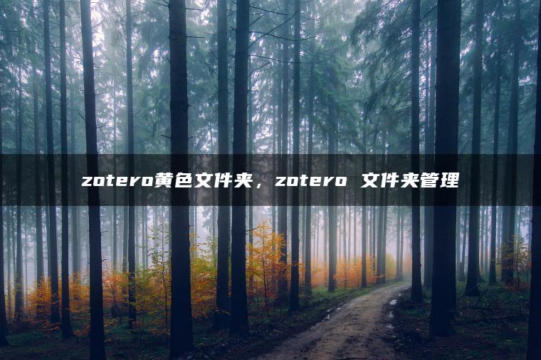 zotero黄色文件夹，zotero 文件夹管理