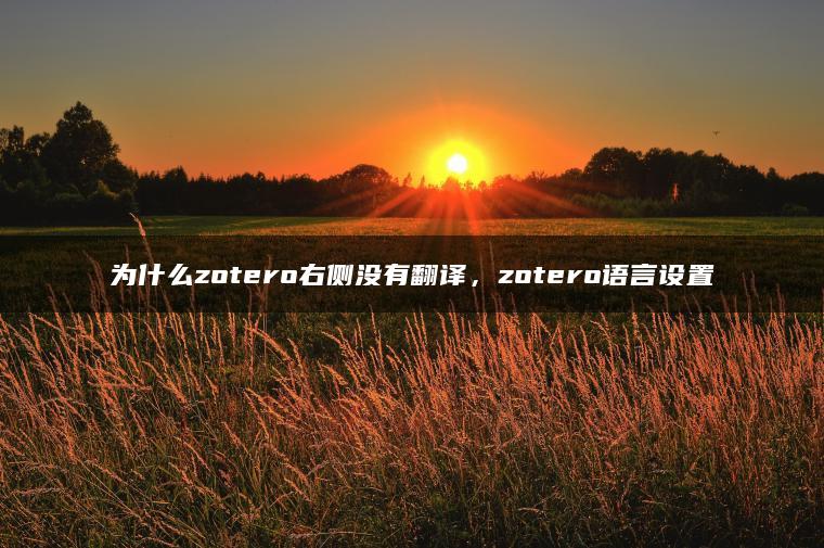 为什么zotero右侧没有翻译，zotero语言设置