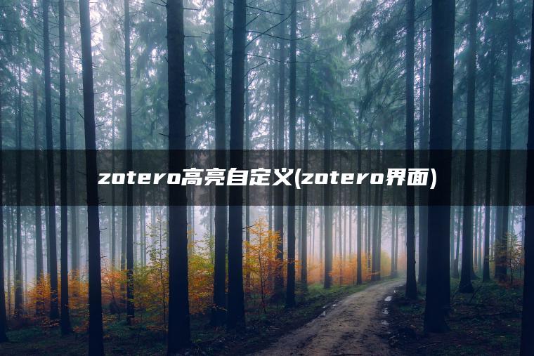 zotero高亮自定义(zotero界面)