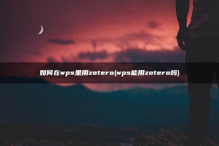 如何在wps里用zotero(wps能用zotero吗)