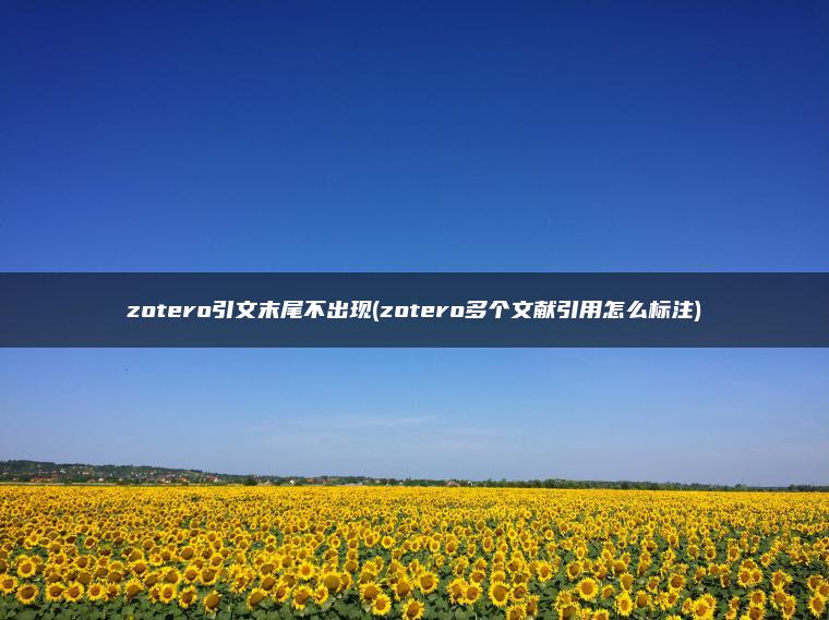 zotero引文末尾不出现(zotero多个文献引用怎么标注)