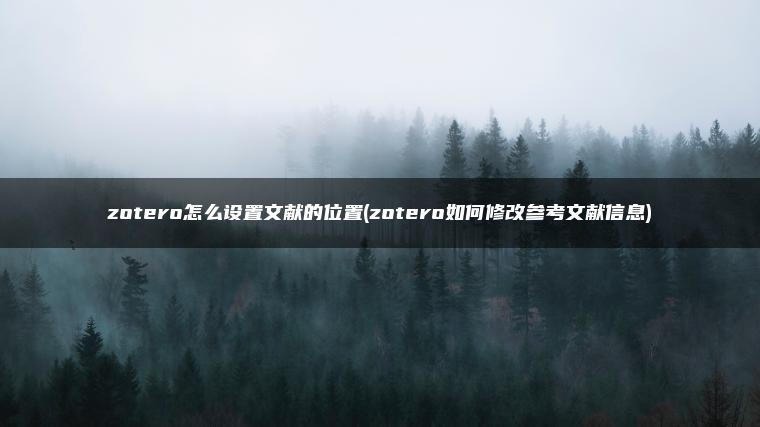 zotero怎么设置文献的位置(zotero如何修改参考文献信息)